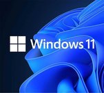 Microsoft-Windows-11-Professional-64bits-OEM-NL-multi-language